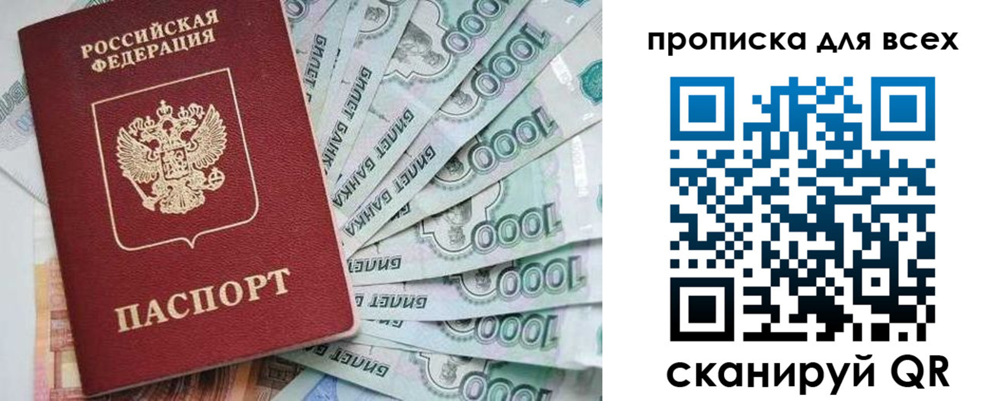 прописка гарантия в Краснозаводске